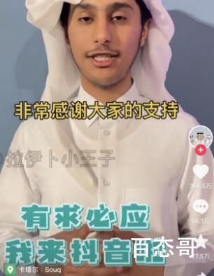 “小馄饨皮”王子的父亲法哈德·本·拉西姆·阿勒萨尼个人资料简介