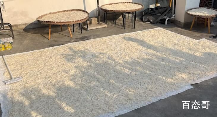 300斤萝卜被偷找到已成萝卜丝 真是勤劳的小偷