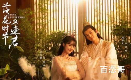 《落花时节又逢君》主演都有那些人 《落花时节又逢君》那个平台可以看