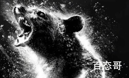 《可卡因熊》什么时候上映 可卡因熊剧情介绍
