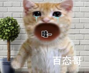 娃娃丢是什么梗
