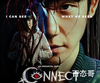 《connect》一共多少集 《connect》讲述什么故事