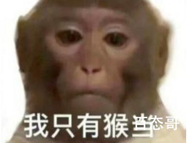 我只有猴当是啥梗 我只有猴当是什么意思