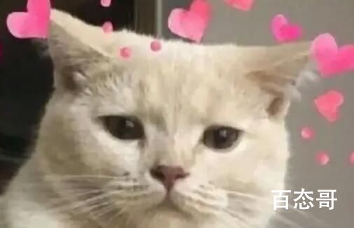 《抖音》巴山楚水凄凉地是什么意思 《抖音》巴山楚水凄凉地梗出自于哪里