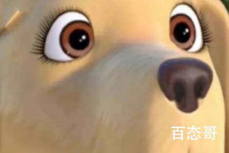 山猪吃不了细糠梗是啥意思 山猪吃不了细糠梗出自于哪里