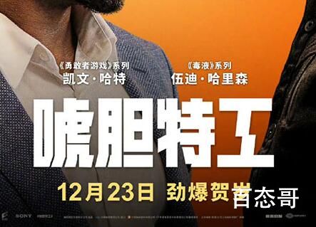 《唬胆特工》定档什么时候 《唬胆特工》开播什么时候