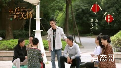 《一枝一叶总关情》改名后叫什么  《一枝一叶总关情》讲的什么故事