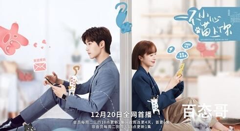《一不小心喵上你》人物关系介绍  《一不小心喵上你》角色解析