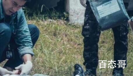 女法医jd更新时间