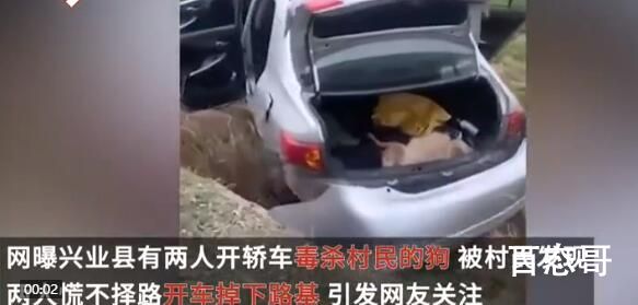 2人毒杀狗被发现后驾车掉下路基 人做事对得起良心就不会出这种事