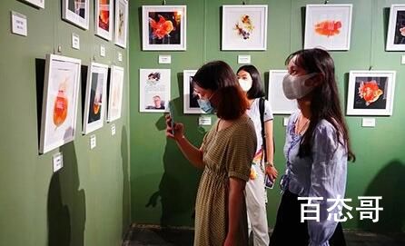 《百度》看展式社交是啥梗 《百度》看展式社交是啥意思