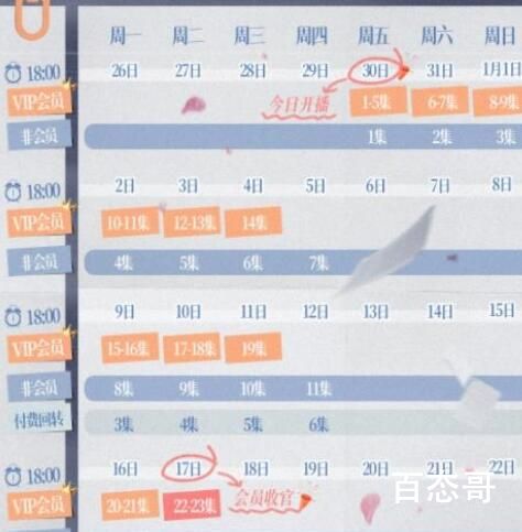 《玫瑰骑士》追剧日历   《玫瑰骑士》更新时间