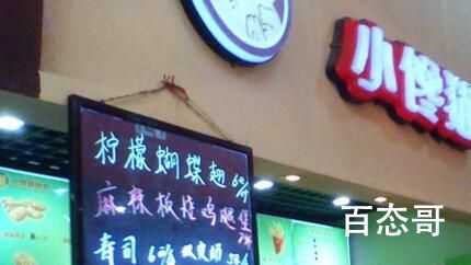 小馋猫烤肉拌饭是什么梗 小馋猫烤肉拌饭是啥意思