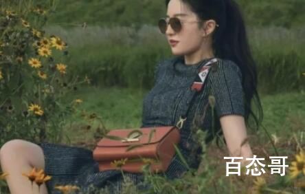 《去有风的地方》主演是谁 《去有风的地方》首播什么时候