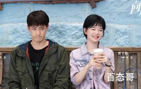 《向风而行》宋宋和夏至最后在一起了吗