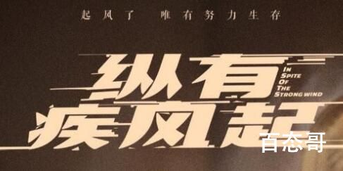 《纵有疾风起》白鹦身世介绍
