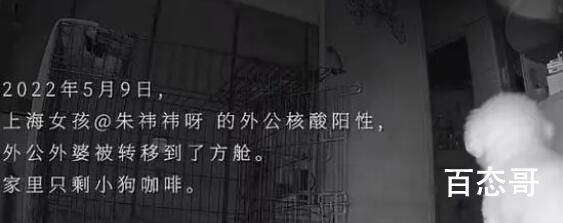 孙女通过摄像头目睹独居爷爷去世 背后真相实在让人大吃一惊