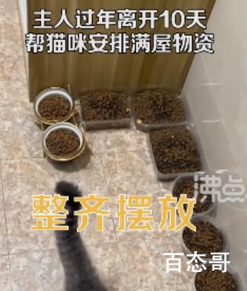今日主人离家10天给猫备10碗粮17碗水 背后详情曝光