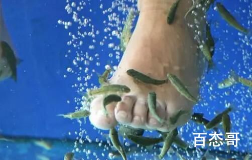 男子在鱼疗池睡着“生吞”小鱼 还喝下了别人的洗脚水！