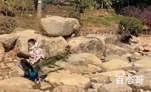 无锡动物园回应一男孩摔打孔雀 背后的真相让人始料未及