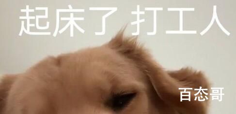 《抖音》节后综合征是啥意思 《抖音》节后综合征是什么梗
