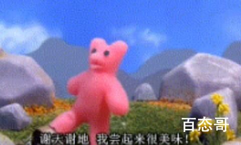 小熊软糖梗是啥意思 