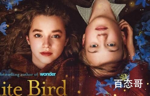 电影《白鸟：一个奇迹故事》定档什么时候  白鸟：一个奇迹故事剧情介绍