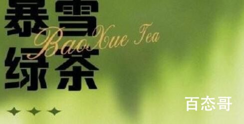 暴雪绿茶是啥意思 暴雪绿茶有什么含义