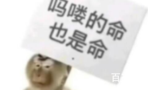 《抖音》马喽的命也是命梗有什么含义 马喽的命也是命是什么梗