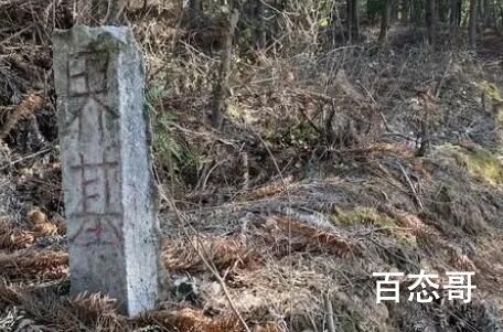 村民称找鸡时发现胡鑫宇遗体 此案疑云重重必须立案严查到底！