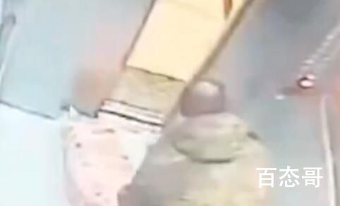 警方调查宠物狗被邻居砍杀案 这是反应有点过激了