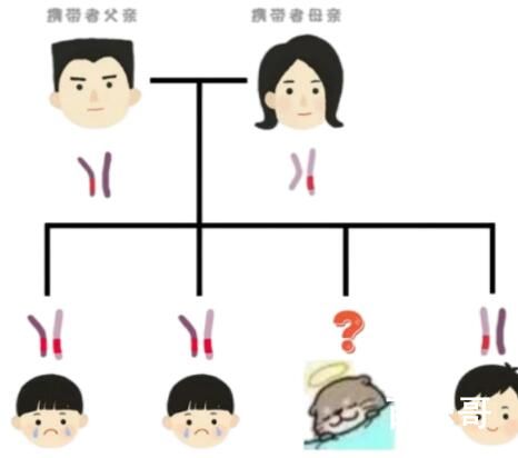 夫妻连生两胎均患怪病性别难辨 背后的真相让人始料未及
