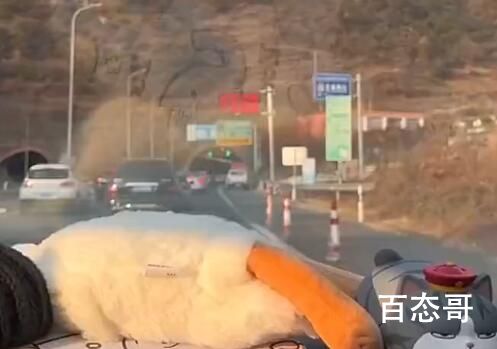 万米隧道一头绿色盎然一头白雪皑皑 世界真奇妙人类也挺厉害的