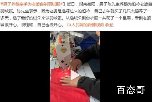 男子从养鹅开始给老婆做羽绒服 只得一人心此生足矣！