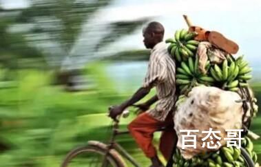 奥德彪拉香蕉视频背景音乐叫什么
