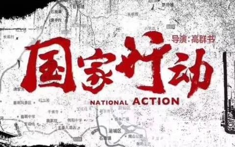 《国家行动》剧情介绍  《国家行动》讲的什么故事