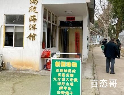 安徽一动物园被曝有九斤重大老鼠 这老鼠多大年纪了
