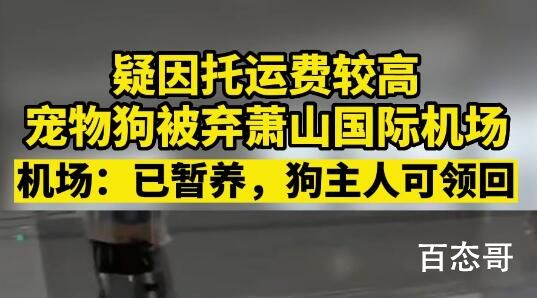 机场回应因托运太贵狗狗被就地遗弃 希望能给狗狗找个负责任的好主人