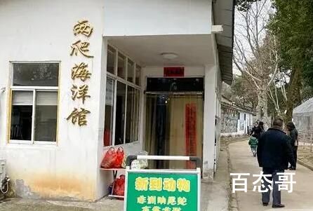 “九斤重大老鼠”身份查清了 海狸说是老鼠这不是骗人吗？