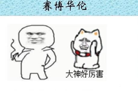 赛博华佗是什么意思 赛博华佗是啥梗