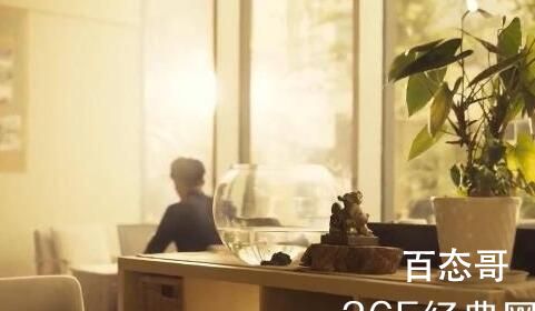 《三体》有第二部吗  《三体》中始终未露脸的神秘人又是谁?