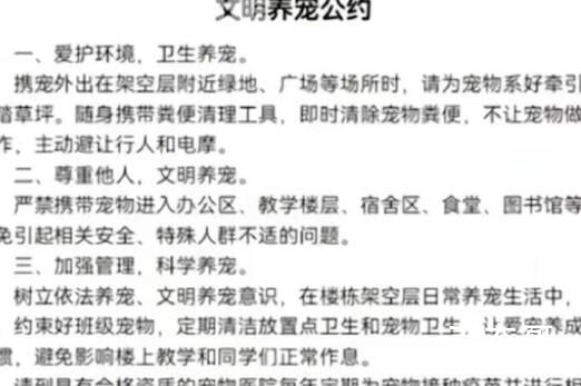 南宁二中可带宠物上学?学校:属实 南宁二中三中的校风都是非常民主开放的