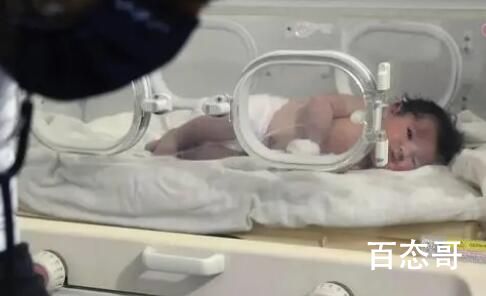 数千人提出领养叙利亚奇迹宝宝 到底是怎么回事