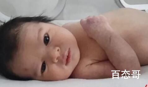 数千人提出领养叙利亚奇迹宝宝 到底是怎么回事