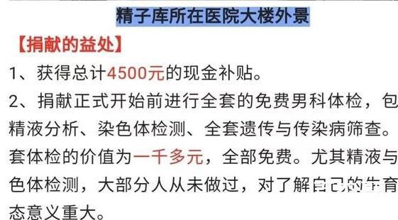 捐精志愿者亲历:取精室没有很色情 捐精者要求限定也不是很高