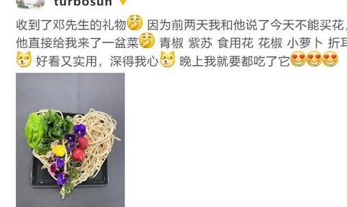 邓超情人节送孙俪一盆菜 球球晒结婚证