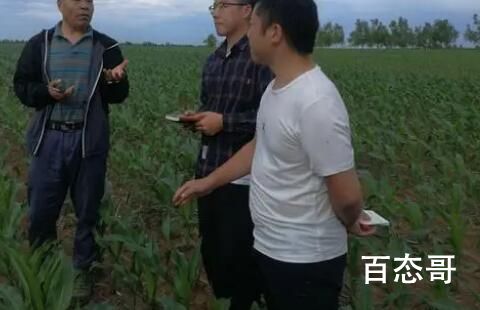 中央一号文件为何提打击电捕蚯蚓 背后的真相让人始料未及