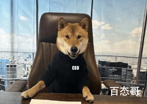 马斯克提高自己推文优先级1000倍 背后的真相让人惊讶