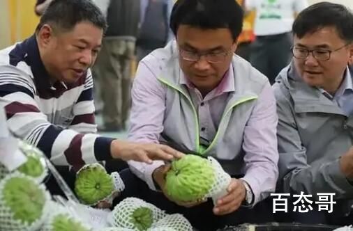 台湾几千吨凤梨释迦滞销 美国欧洲会帮忙买的