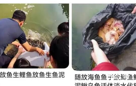 祈福者放生2.5万斤鲇鱼被追责 放生矿泉水这是什么品种的人类想出来的？